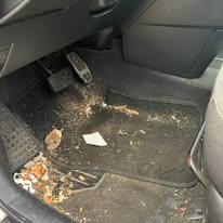 Vehicle floor before interior detailing